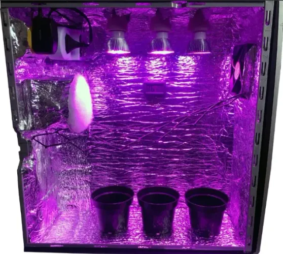 Estufa PC Grow