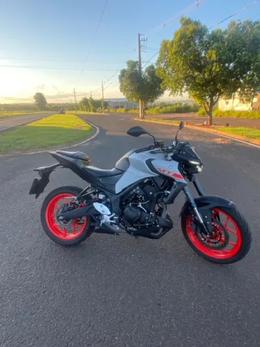 Mt03 