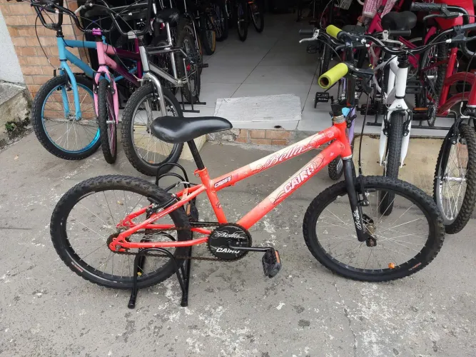 Bicicleta