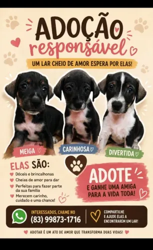 princesas para serem adotadas ?