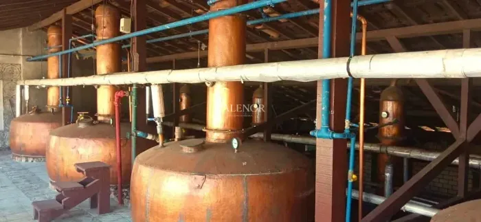 Fazenda com 451 hectares na pecuária e agroindústria de cachaça, Moeda, MG