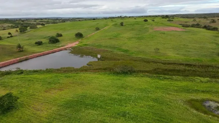 fazenda com 32 hectares na região de Monte Alegre 100% plantada de capim riquíssima em águ