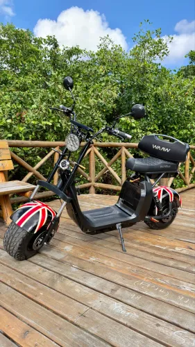 Moto elétrica