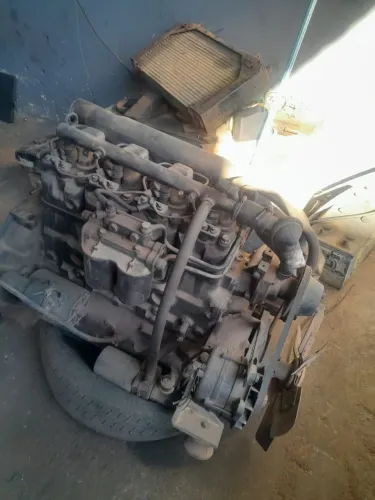 Motor MWM 229