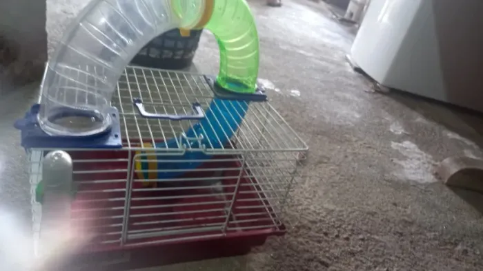 Casa para Hamister 