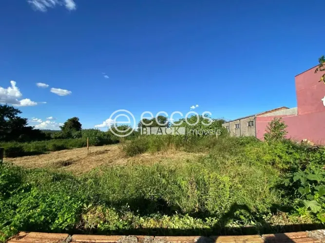 Terreno à venda, FABRÍCIO - UBERABA/MG
