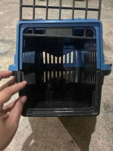 TRANSPORTE PET