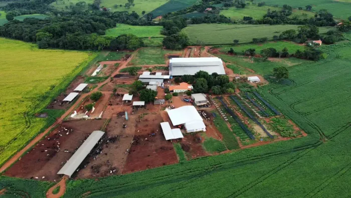Fazenda Leiteira a venda no Goiás!!!