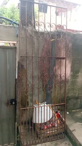 Portão 100$