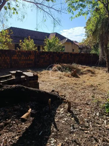 TERRENO COMERCIAL