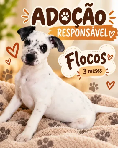 Adoção legal