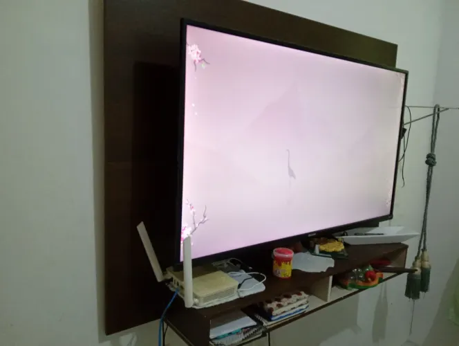 Televisão