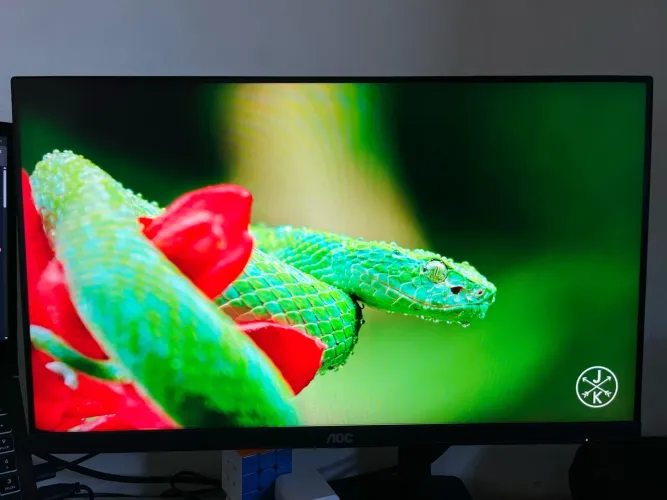 Monitor Gamer AOC 23.8 165Hz (Com Defeito)