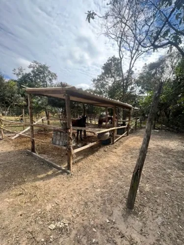 Estrutura de baias 