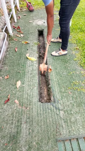 Vaga para PJ, Desenrupidora e controle de pragas