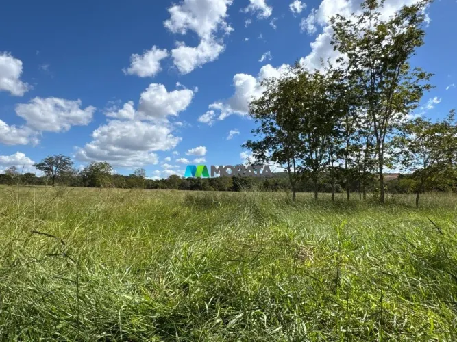 FAZENDA À VENDA - 310 HECTARES - MORRO DA GARÇA (MG)
