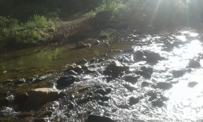 Fazenda à venda em minaçu