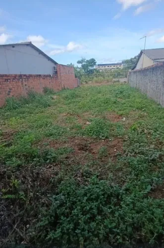 Terreno atrás da UFOPA 