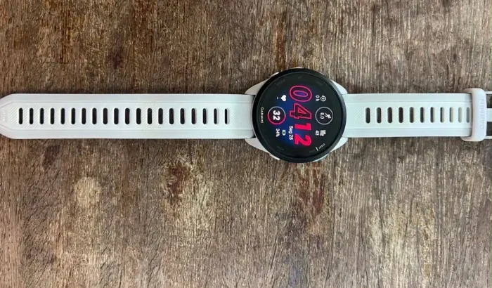 GARMIN 165