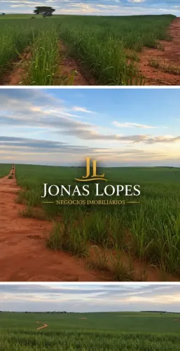 Fazenda 807 hectares Município Anaurilandia