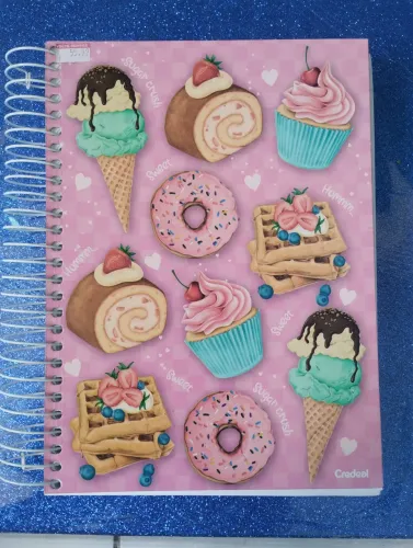 Caderno 20 matérias feminino