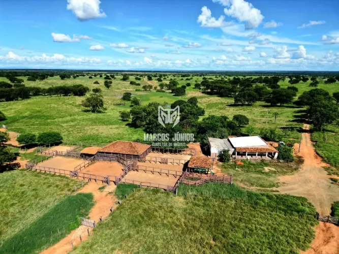 EXCELENTE FAZENDA À VENDA  NO NORTE DE MINAS GERAIS COM IRRIGAÇÃO, BEM FORMADA E ESTRUTURA