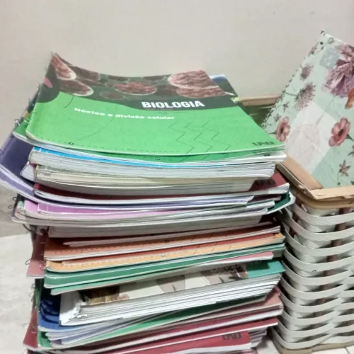 Lote livros didáticos ensino médio