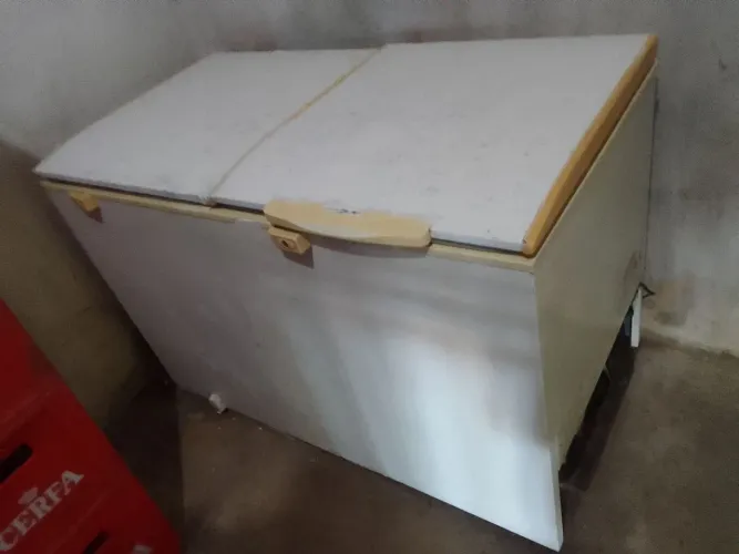 Frizer 900 reais