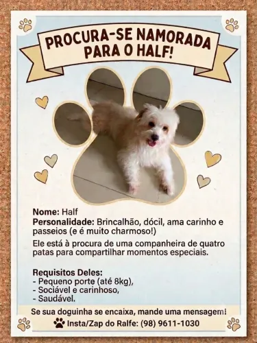 Procuro uma namorada para Halfe