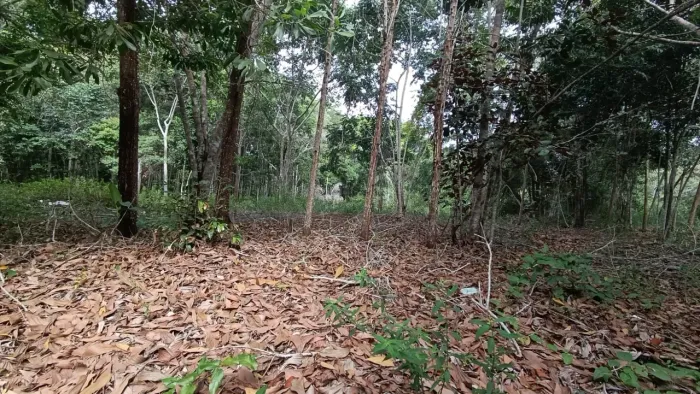 Lote à Venda no Trac-Trac em Arraial d'Ajuda