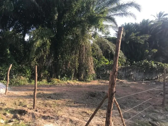 Vende-se esse terreno. Troco por carro do manor valor.