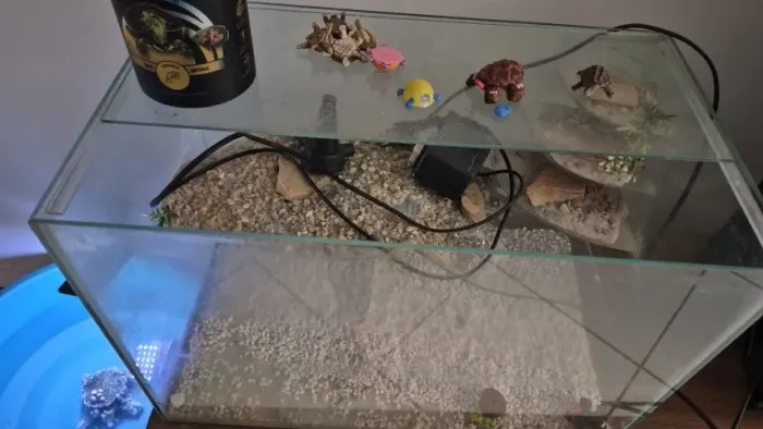 Aquário com terrário
