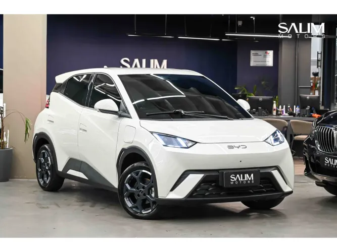 BYD Dolphin Mini (Elétrico) 2027