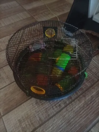 Gaiola Hamster 