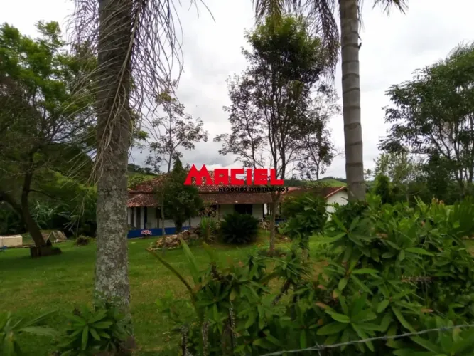 Deslumbrante chácara com casa aconchegante com pomar formado