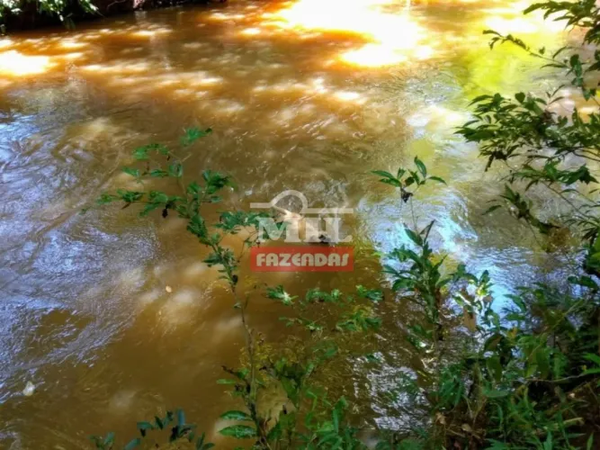 Sitio 8.5 Alqueires (41.14 Hectares) Minaçu - GO