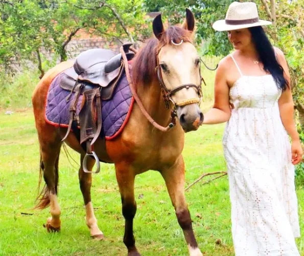 Vendo cavalo crioulo
