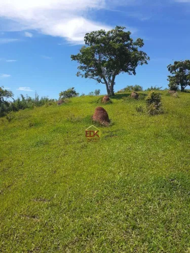 Área à venda, 20000 m² por R$ 260.000,00 - Mandú - Pindamonhangaba/SP