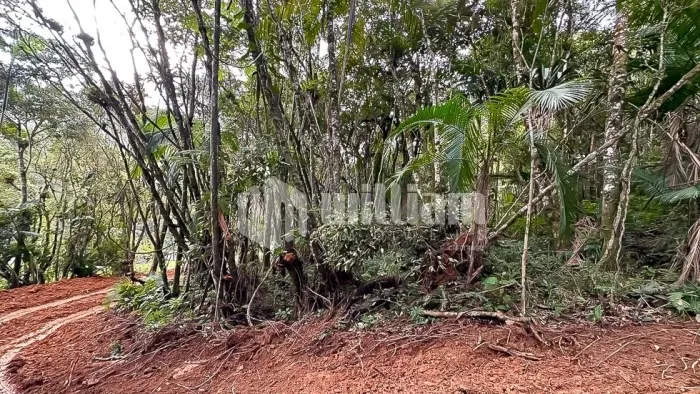 LINDO TERRENO NO BAIRRO PLANICIE ALTA - GUABIRUBA