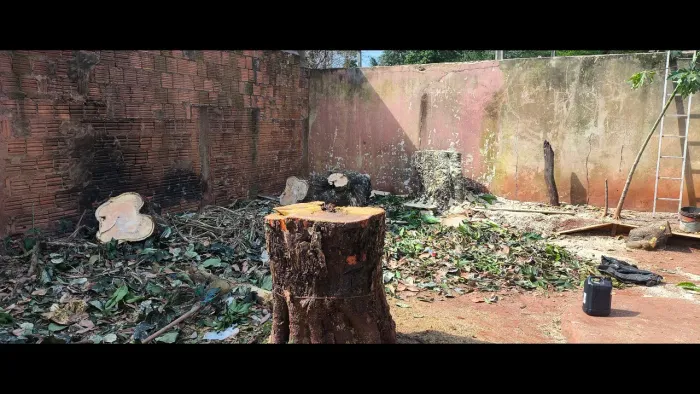 Poda e cortes de árvores limpeza de terreno jardinagem Emanuel serviço gerais