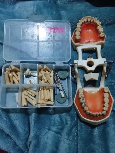 Manequim prodens com dentes extras e saca dentes perio dentística