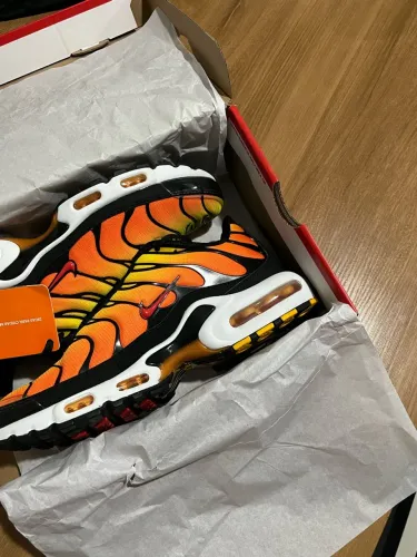 Air Max TN Sunset