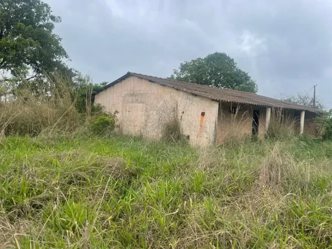 Vendo Linda Chacara 10 Hectares a 19km Girassol 495 MIL