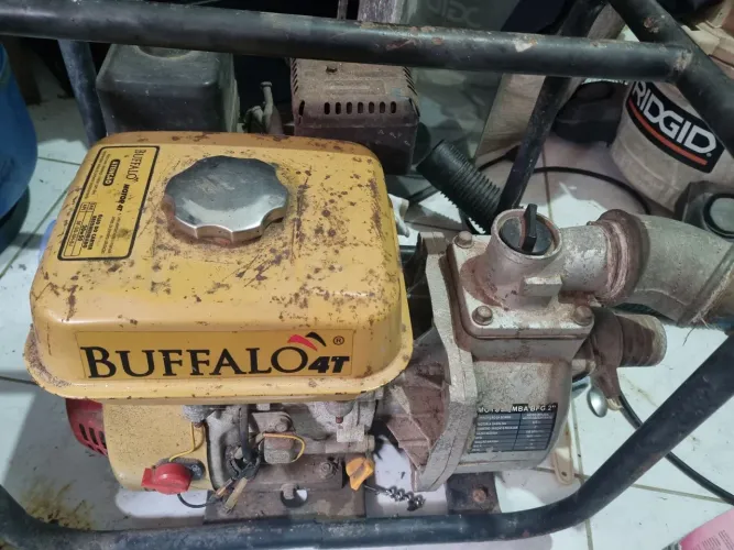 Motobomba bufalo