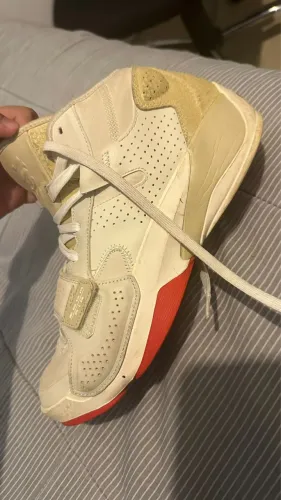 Jordan Zion 2 fossil 