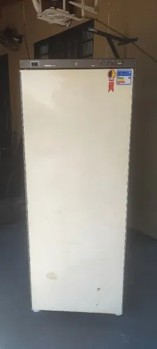 Freezer vertical