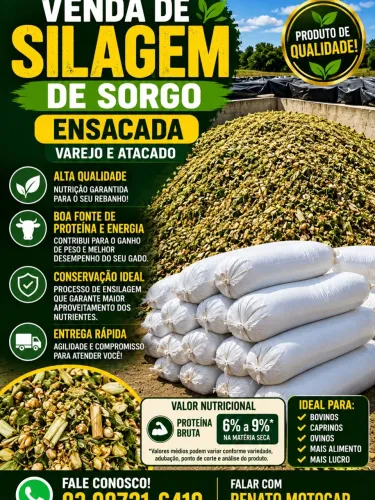 SILAGEM DE SORGO A PRONTA ENTREGA!