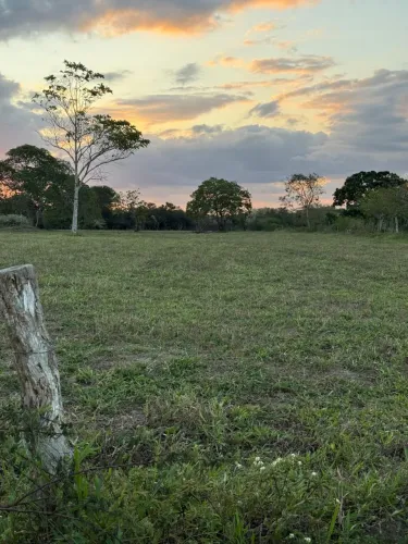 Meia tarefa retiro coração de Maria