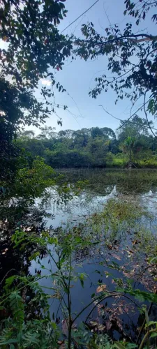 Chácara em alto paraíso RO