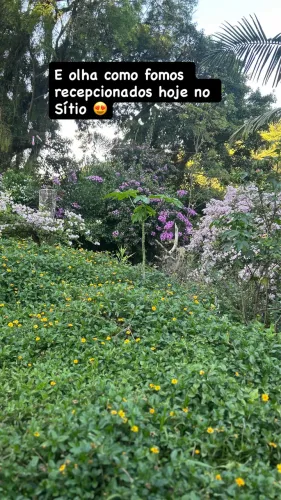 Vendo Sítio em Piedade